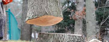 Best Emergency Tree Removal  in Pine Bush, NY