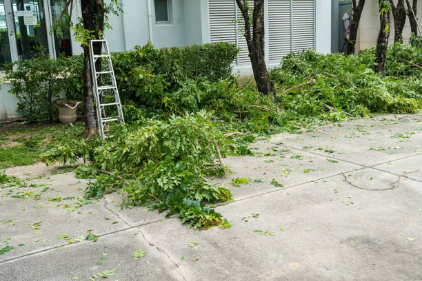 Mulching Services in Pine Bush, NY