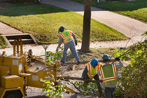 Best Tree and Shrub Care  in Pine Bush, NY