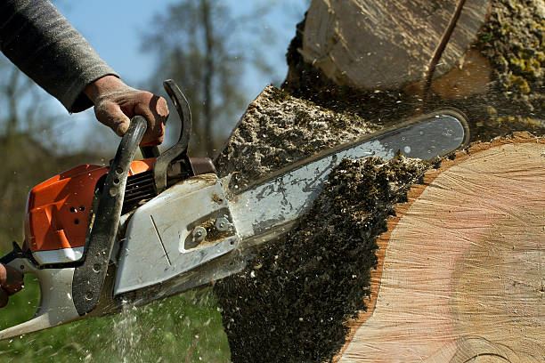Best Lawn Pest Prevention  in Pine Bush, NY
